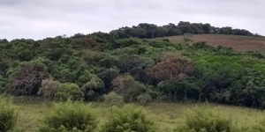 Unveil 8a21a6f614db065bb1ca2c21a5c803aede783f93e5277febbd47f37d9dbae4ca