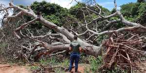 Unveil 8a21a6f614db065bb1ca2c21a5c803aede783f93e5277febbd47f37d9dbae4ca