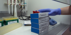 Unveil 8a21a6f614db065bb1ca2c21a5c803aede783f93e5277febbd47f37d9dbae4ca