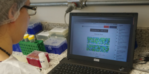 Unveil 8a21a6f614db065bb1ca2c21a5c803aede783f93e5277febbd47f37d9dbae4ca