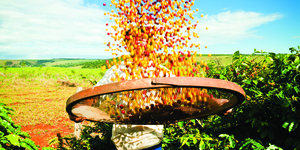 Unveil 8a21a6f614db065bb1ca2c21a5c803aede783f93e5277febbd47f37d9dbae4ca