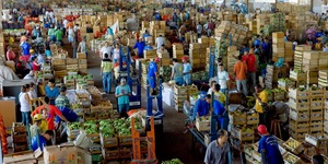 Unveil 8a21a6f614db065bb1ca2c21a5c803aede783f93e5277febbd47f37d9dbae4ca