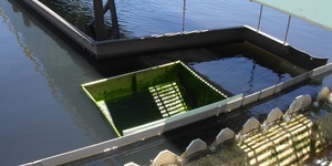 Unveil 8a21a6f614db065bb1ca2c21a5c803aede783f93e5277febbd47f37d9dbae4ca