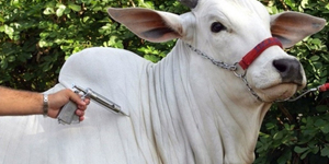 Unveil 8a21a6f614db065bb1ca2c21a5c803aede783f93e5277febbd47f37d9dbae4ca