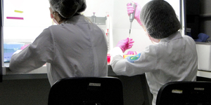 Unveil 8a21a6f614db065bb1ca2c21a5c803aede783f93e5277febbd47f37d9dbae4ca