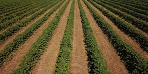 Unveil 8a21a6f614db065bb1ca2c21a5c803aede783f93e5277febbd47f37d9dbae4ca