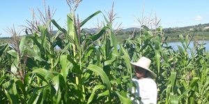 Unveil 8a21a6f614db065bb1ca2c21a5c803aede783f93e5277febbd47f37d9dbae4ca