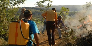 Unveil 8a21a6f614db065bb1ca2c21a5c803aede783f93e5277febbd47f37d9dbae4ca