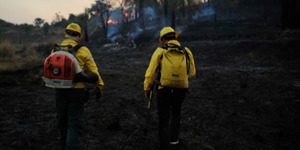 Unveil 8a21a6f614db065bb1ca2c21a5c803aede783f93e5277febbd47f37d9dbae4ca