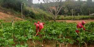 Unveil 8a21a6f614db065bb1ca2c21a5c803aede783f93e5277febbd47f37d9dbae4ca