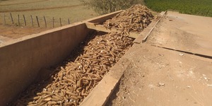 Unveil 8a21a6f614db065bb1ca2c21a5c803aede783f93e5277febbd47f37d9dbae4ca