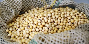 Unveil 8a21a6f614db065bb1ca2c21a5c803aede783f93e5277febbd47f37d9dbae4ca