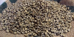 Unveil 8a21a6f614db065bb1ca2c21a5c803aede783f93e5277febbd47f37d9dbae4ca