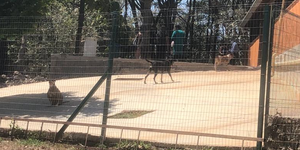 Unveil 8a21a6f614db065bb1ca2c21a5c803aede783f93e5277febbd47f37d9dbae4ca