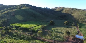 Unveil 8a21a6f614db065bb1ca2c21a5c803aede783f93e5277febbd47f37d9dbae4ca