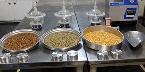 Unveil 8a21a6f614db065bb1ca2c21a5c803aede783f93e5277febbd47f37d9dbae4ca