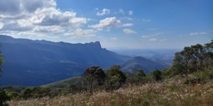 Unveil 8a21a6f614db065bb1ca2c21a5c803aede783f93e5277febbd47f37d9dbae4ca