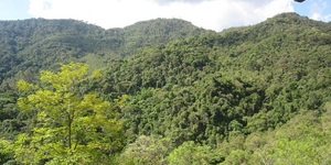 Unveil 8a21a6f614db065bb1ca2c21a5c803aede783f93e5277febbd47f37d9dbae4ca