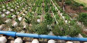 Unveil 8a21a6f614db065bb1ca2c21a5c803aede783f93e5277febbd47f37d9dbae4ca