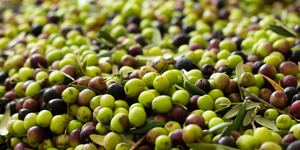 Unveil 8a21a6f614db065bb1ca2c21a5c803aede783f93e5277febbd47f37d9dbae4ca