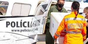 Unveil 8a21a6f614db065bb1ca2c21a5c803aede783f93e5277febbd47f37d9dbae4ca