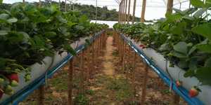 Unveil 8a21a6f614db065bb1ca2c21a5c803aede783f93e5277febbd47f37d9dbae4ca