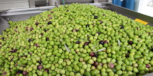 Unveil 8a21a6f614db065bb1ca2c21a5c803aede783f93e5277febbd47f37d9dbae4ca