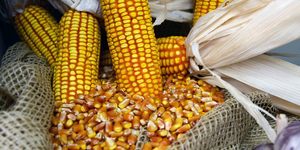 Unveil 8a21a6f614db065bb1ca2c21a5c803aede783f93e5277febbd47f37d9dbae4ca