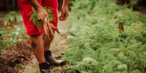 Unveil 8a21a6f614db065bb1ca2c21a5c803aede783f93e5277febbd47f37d9dbae4ca