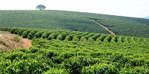 Unveil 8a21a6f614db065bb1ca2c21a5c803aede783f93e5277febbd47f37d9dbae4ca