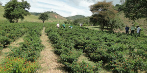 Unveil 8a21a6f614db065bb1ca2c21a5c803aede783f93e5277febbd47f37d9dbae4ca