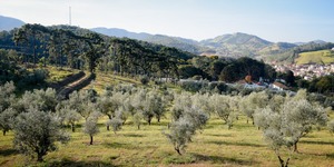 Unveil 8a21a6f614db065bb1ca2c21a5c803aede783f93e5277febbd47f37d9dbae4ca