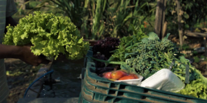 Unveil 8a21a6f614db065bb1ca2c21a5c803aede783f93e5277febbd47f37d9dbae4ca