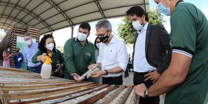 Unveil 8a21a6f614db065bb1ca2c21a5c803aede783f93e5277febbd47f37d9dbae4ca