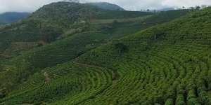 Unveil 8a21a6f614db065bb1ca2c21a5c803aede783f93e5277febbd47f37d9dbae4ca