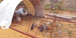 Unveil 8a21a6f614db065bb1ca2c21a5c803aede783f93e5277febbd47f37d9dbae4ca