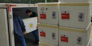 Unveil 8a21a6f614db065bb1ca2c21a5c803aede783f93e5277febbd47f37d9dbae4ca