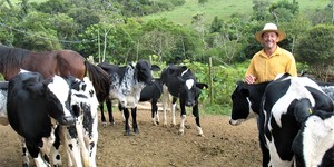 Unveil 8a21a6f614db065bb1ca2c21a5c803aede783f93e5277febbd47f37d9dbae4ca