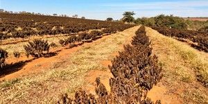 Unveil 8a21a6f614db065bb1ca2c21a5c803aede783f93e5277febbd47f37d9dbae4ca