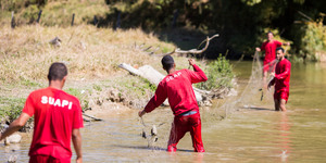 Unveil 8a21a6f614db065bb1ca2c21a5c803aede783f93e5277febbd47f37d9dbae4ca