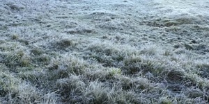 Unveil 8a21a6f614db065bb1ca2c21a5c803aede783f93e5277febbd47f37d9dbae4ca