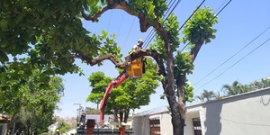 Unveil 8a21a6f614db065bb1ca2c21a5c803aede783f93e5277febbd47f37d9dbae4ca