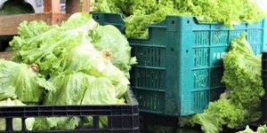 Unveil 8a21a6f614db065bb1ca2c21a5c803aede783f93e5277febbd47f37d9dbae4ca