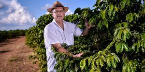 Unveil 8a21a6f614db065bb1ca2c21a5c803aede783f93e5277febbd47f37d9dbae4ca