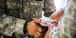 Unveil 8a21a6f614db065bb1ca2c21a5c803aede783f93e5277febbd47f37d9dbae4ca