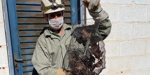 Unveil 8a21a6f614db065bb1ca2c21a5c803aede783f93e5277febbd47f37d9dbae4ca