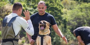 Unveil 8a21a6f614db065bb1ca2c21a5c803aede783f93e5277febbd47f37d9dbae4ca