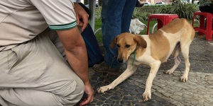 Unveil 8a21a6f614db065bb1ca2c21a5c803aede783f93e5277febbd47f37d9dbae4ca