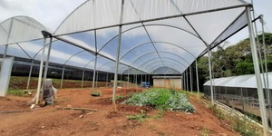 Unveil 8a21a6f614db065bb1ca2c21a5c803aede783f93e5277febbd47f37d9dbae4ca