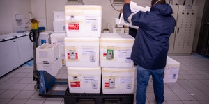 Unveil 8a21a6f614db065bb1ca2c21a5c803aede783f93e5277febbd47f37d9dbae4ca